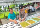 Gelorakan-Swasembada-Pangan,-Polisi-di-Sidoarjo-Ajak-Warga-Kembangkan-Tanaman-Hidroponik