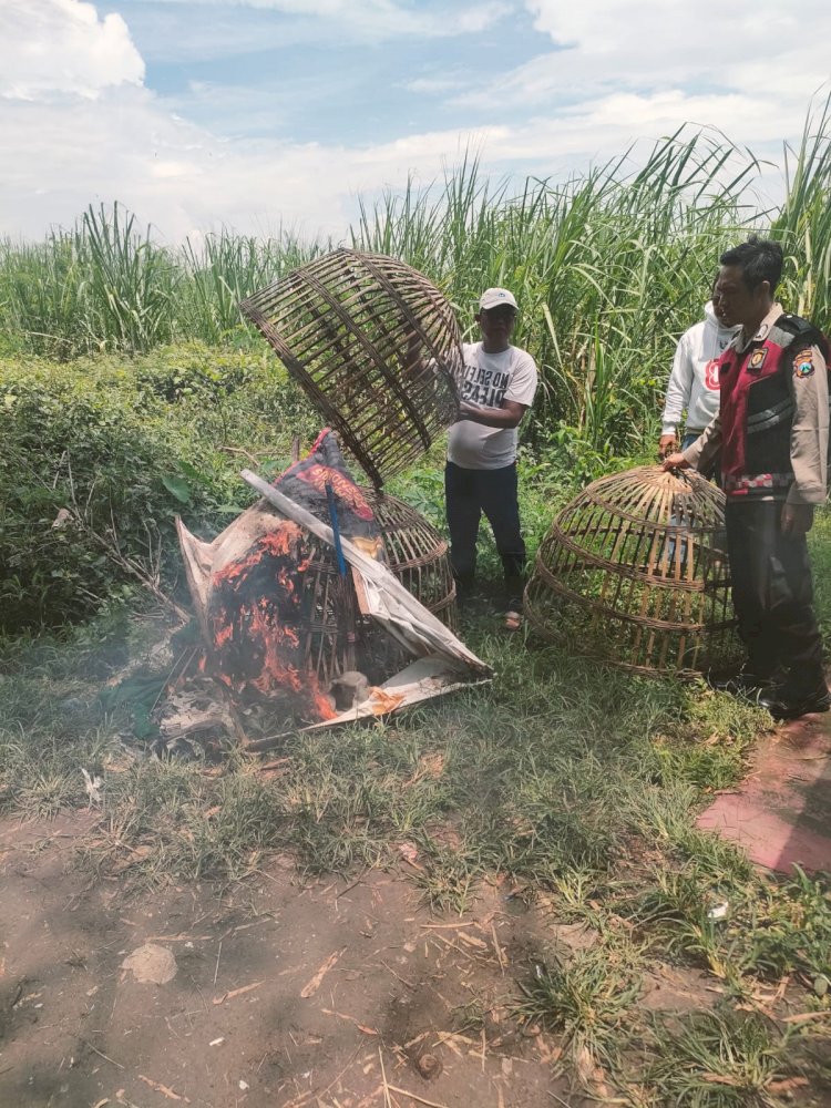 Respon Aduan Warga, Polsek Prambon Datangi Lokasi Sabung Ayam di Desa Jatikalang