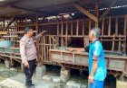 Ketahanan-Pangan-Lewat-Ternak-Kambing-Etawa,-Dongkrak-Swasembada-dan-Ekonomi-Warga