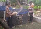Bhabinkamtibmas-Desa-Wedoro-Dorong-Ketahanan-Pangan-Lewat-Penyuluhan-Budidaya-Ikan-Patin