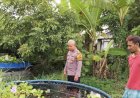 Topang-Ketahanan-Pangan,-Bhabinkamtibmas-Apresiasi-Budidaya-Ikan-Gurami-di-Kedungpeluk