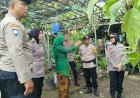 Bhabinkamtibmas-Kepuh-Kiriman-Dampingi-Ibu-PKK-Kelola-Tanaman-Terong,-Dukung-Ketahanan-Pangan-Desa