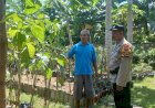 Polisi-Motivasi-Warga-Manfaatkan-Lahan-Ketahanan-Pangan