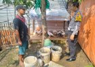 Polsek-Porong-Dukung-Ketahanan-Pangan,-Cek-Budidaya-Entok-Warga-Desa-Plumbon