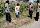 Polsek-Tulangan-Tinjau-Lahan-Jagung-di-Desa-Kajeksan,-Dukung-Swasembada-Pangan