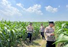Polisi-Cinta-Petani-Kawal-Program-Ketahanan-Pangan-di-Krembung