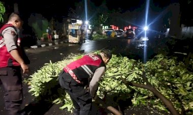 Gercep,-Polisi-Tangani-Pohon-Tumbang,-Jalur-Mudik-Kota-Kediri-Kembali-Lancar