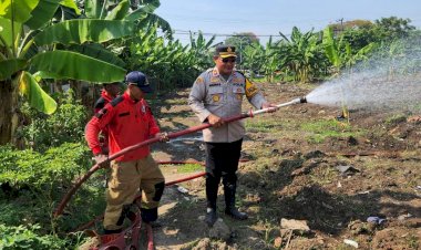 Hadapi-Kemarau-Polres-Pelabuhan-Tanjungperak-Siram-Lahan-Jagung-Ketahanan-Pangan