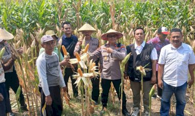 Polisi,-Perangkat-Desa-dan-Petani-Kompak-Sukseskan-Ketahanan-Pangan-di-Balongbendo