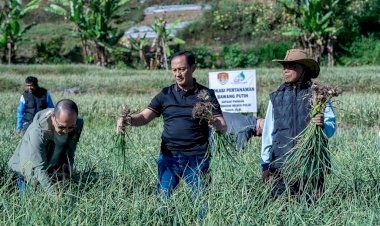 Satgas-Pangan-Polri-Perkuat-Swasembada-Bawang-Putih,-Lahan-Tanam-di-Sembalun-Capai-534-Hektare